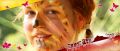 Filename=14.jpg
Filesize=86KB
Dimensions=778x332
Date added=Nov 08, 2008 14.jpg